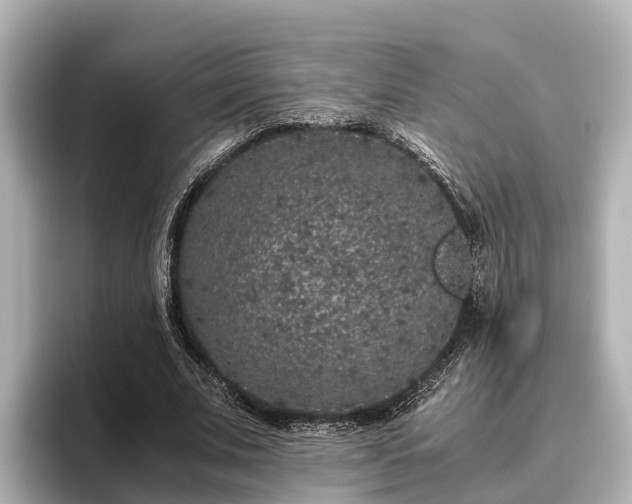 X0000096420679200801311413