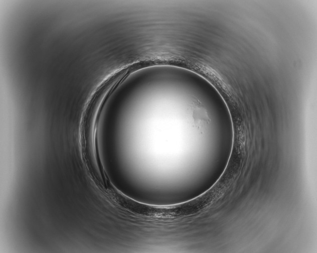 X0000096420680200801311413