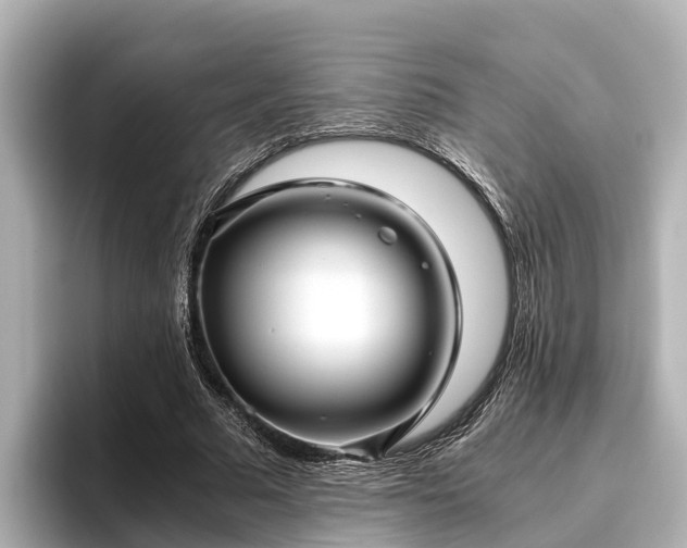 X0000096420681200801311413