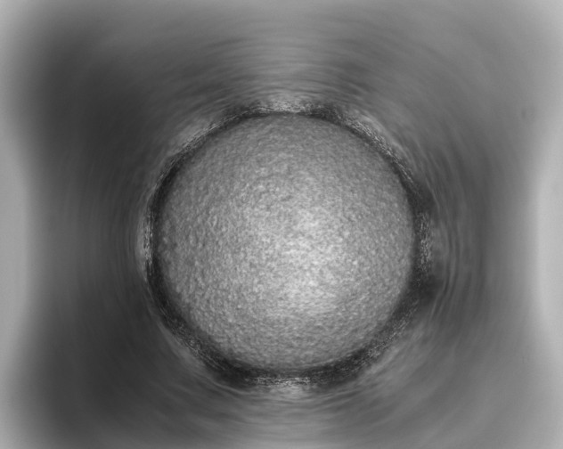 X0000096420683200801311413