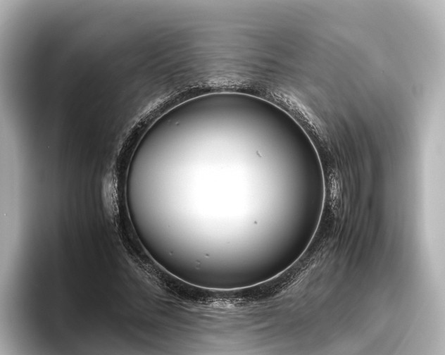 X0000096420684200801311413