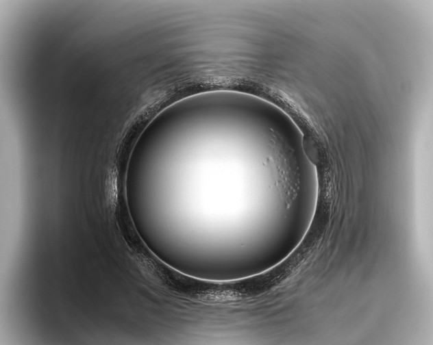 X0000096420685200801311413