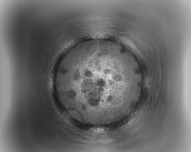 X0000096420687200801311413