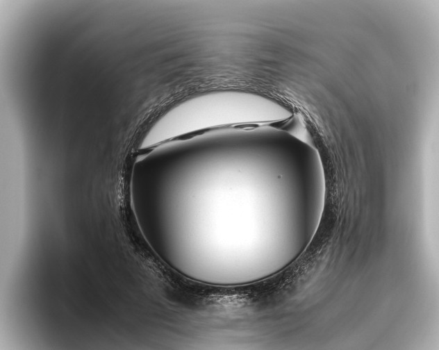 X0000096420689200801311413