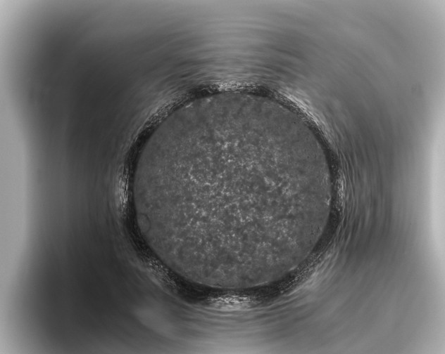 X0000096420691200801311413