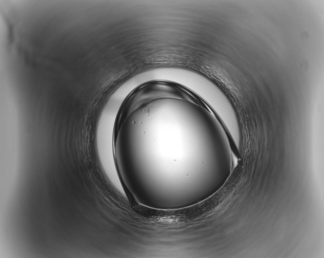 X0000096420692200801311412
