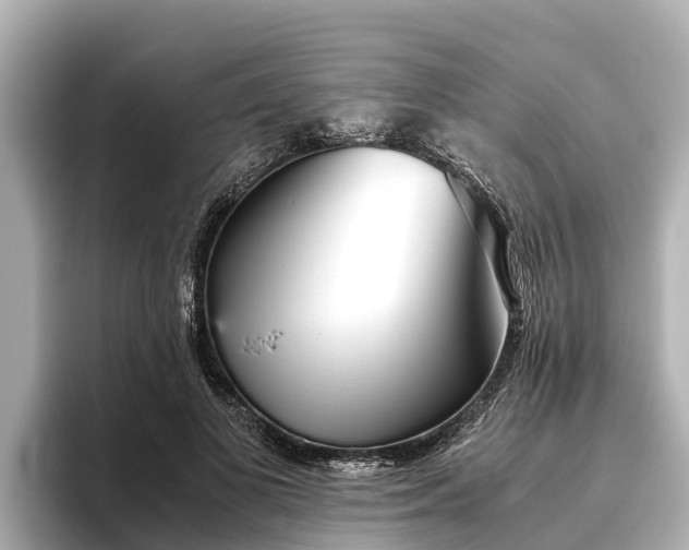 X0000096420693200801311412