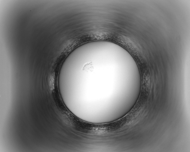 X0000096420694200801311412