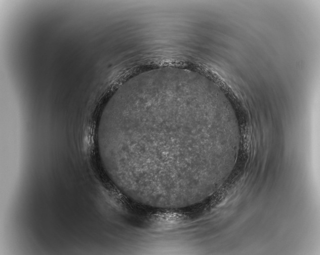X0000096420695200801311412