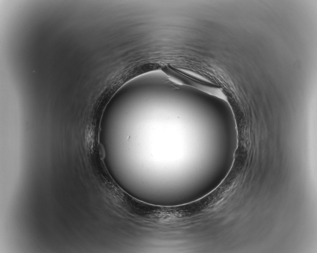 X0000096420697200801311412