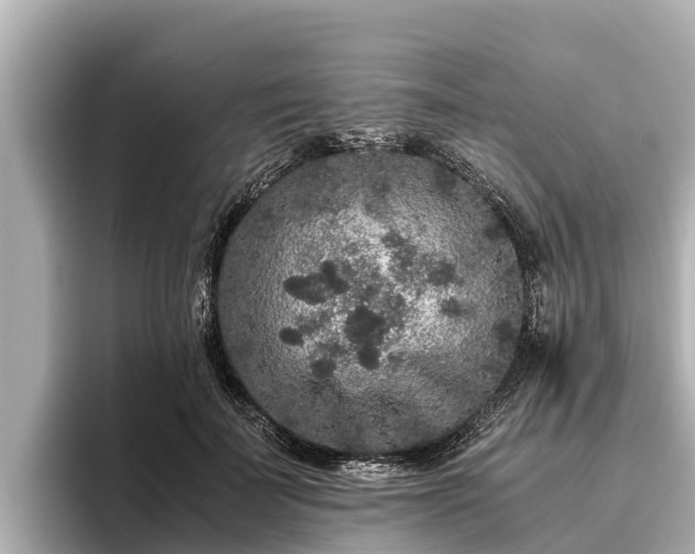 X0000096420699200801311412