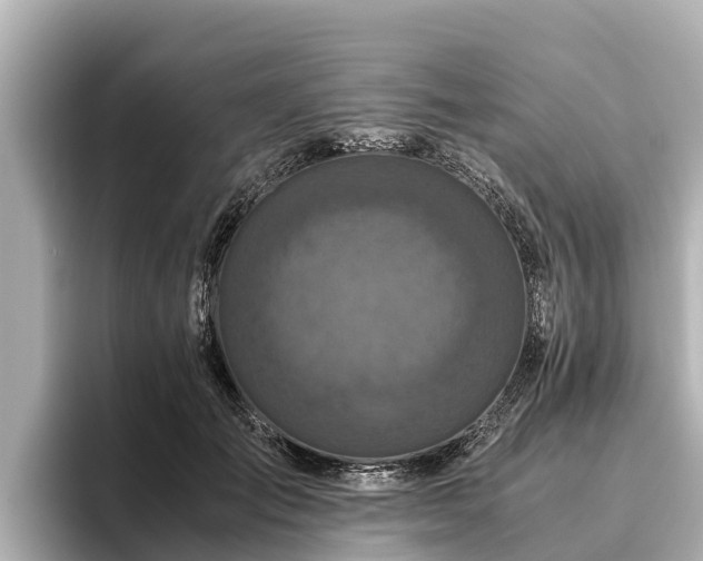 X0000096420701200801311412