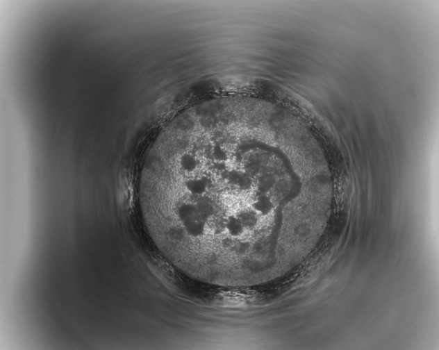 X0000096420703200801311412
