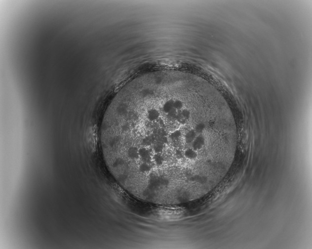 X0000096420707200801311412