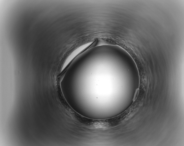 X0000096420708200801311412