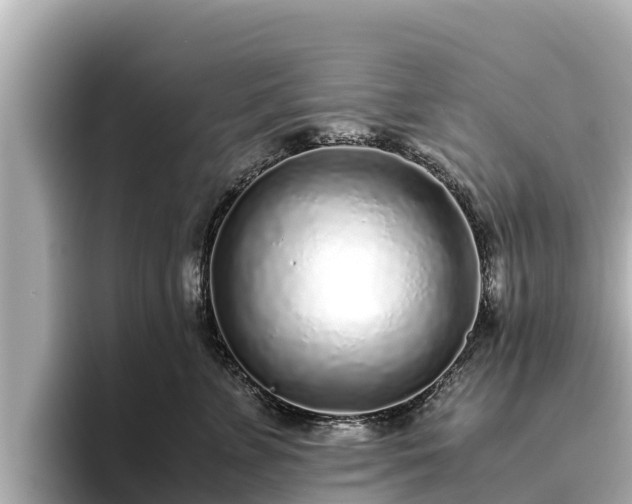 X0000096420715200801311412
