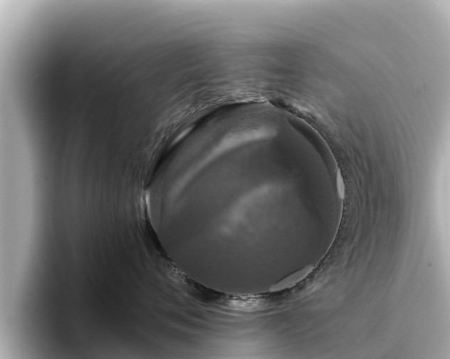 X0000096420720200801311412