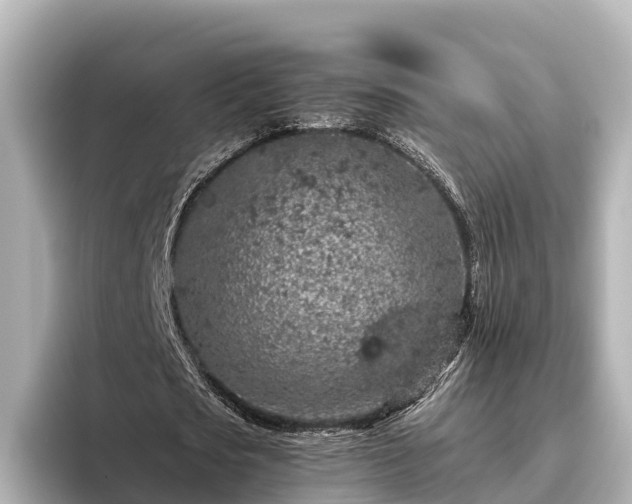 X0000096420721200801311412