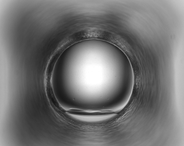 X0000096420722200801311412