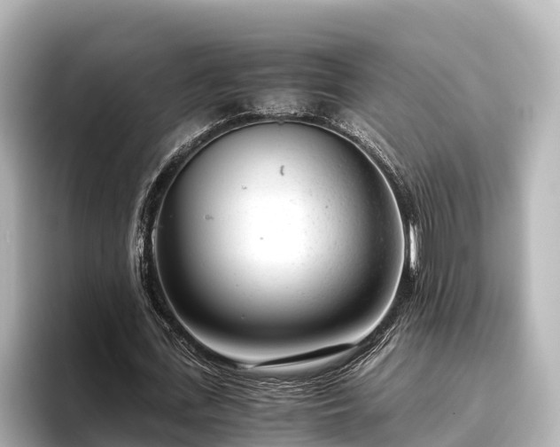 X0000096420723200801311412