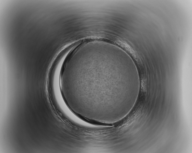 X0000096420724200801311412