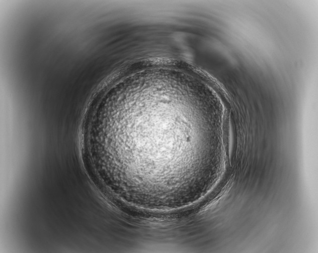 X0000096420725200801311412