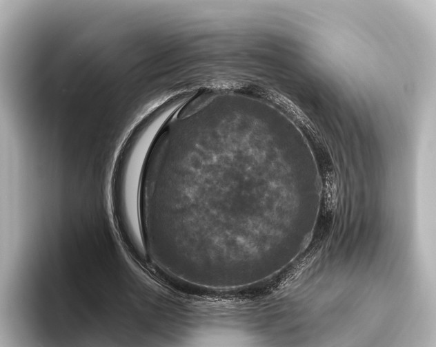 X0000096420726200801311412