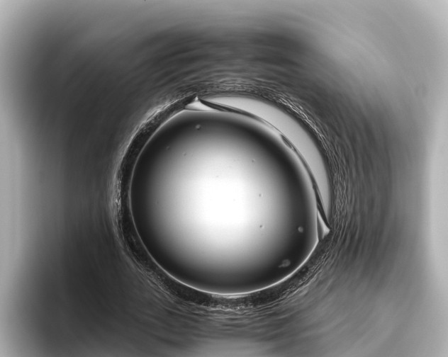 X0000096420727200801311412