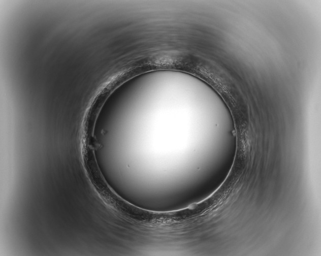 X0000096420728200801311412