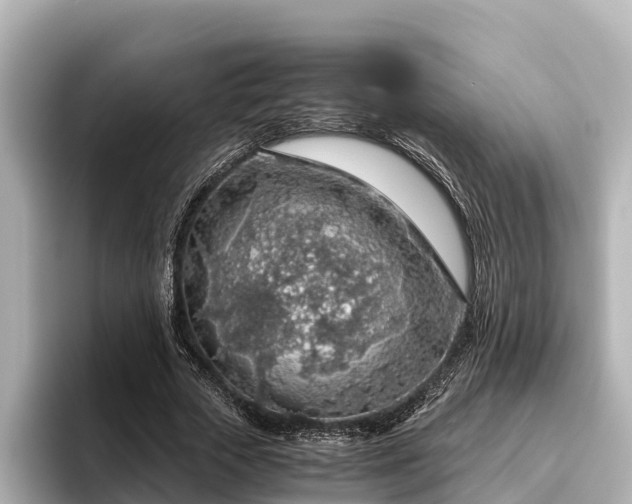 X0000096420729200801311412
