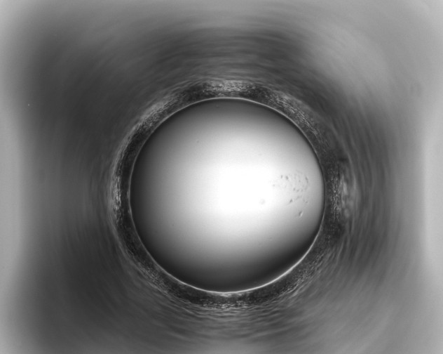 X0000096420731200801311412