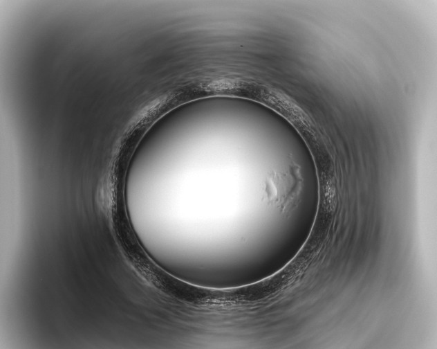 X0000096420732200801311412