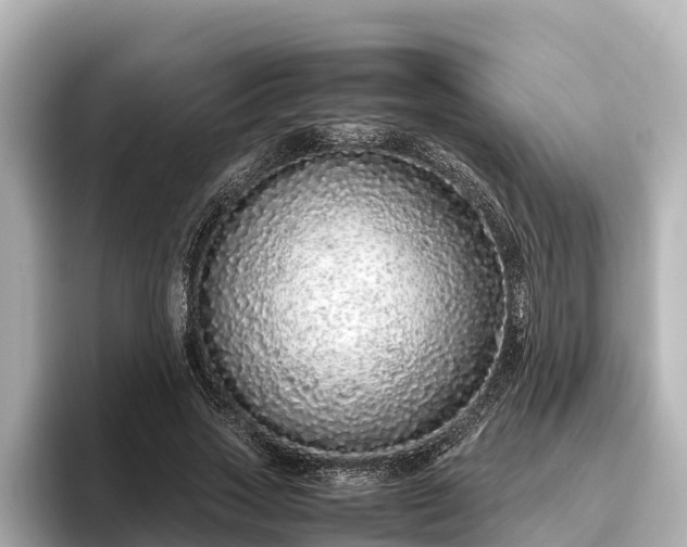 X0000096420733200801311412