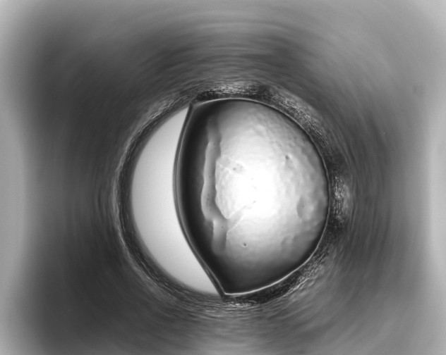 X0000096420734200801311412