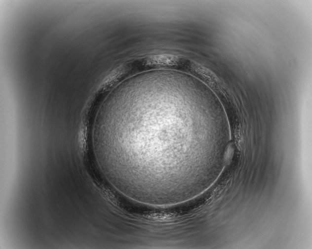X0000096420735200801311412