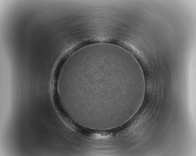 X0000096420736200801311412