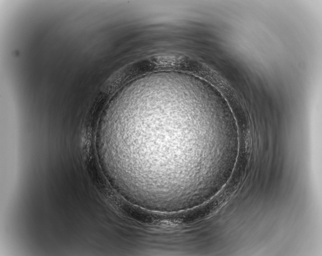 X0000096420737200801311412