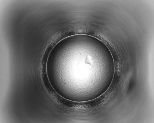X0000096420738200801311412