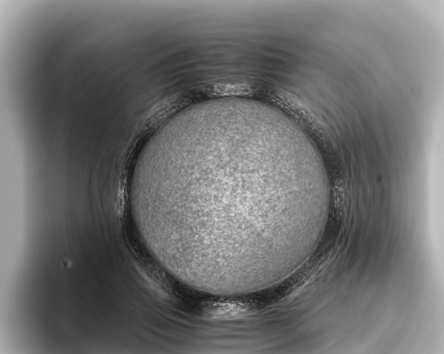 X0000096420741200801311412