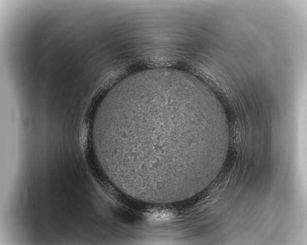 X0000096420742200801311412