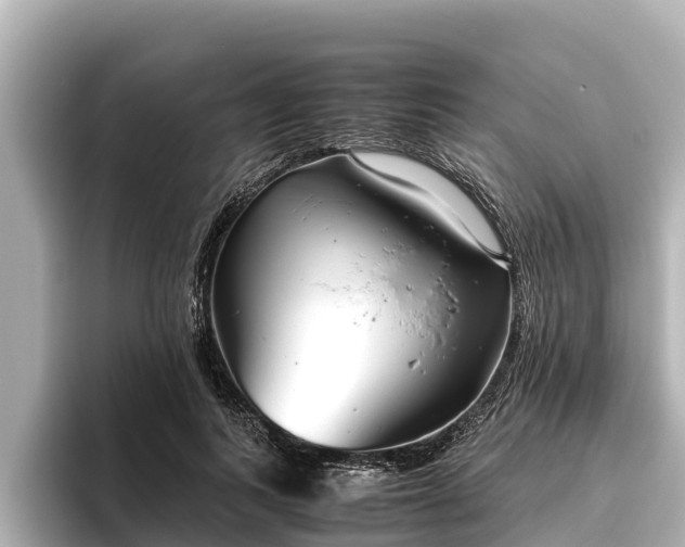 X0000096420743200801311412