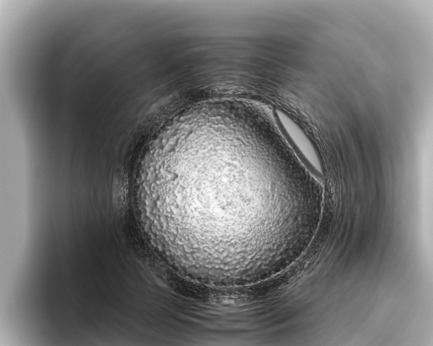 X0000096420745200801311412