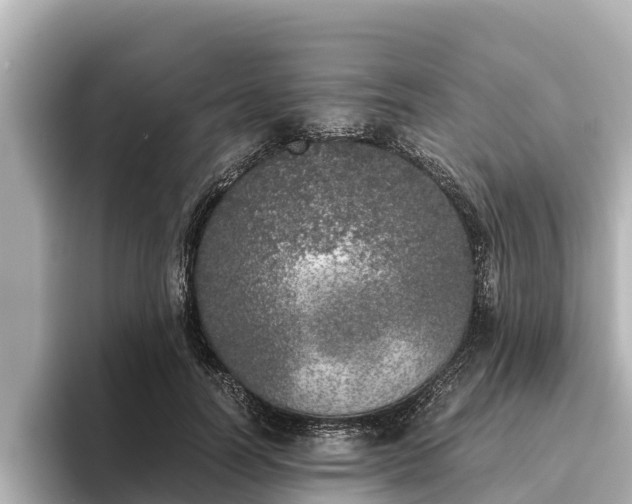 X0000096420746200801311412