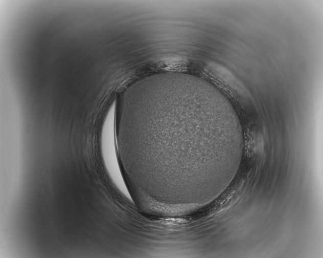 X0000096420748200801311412
