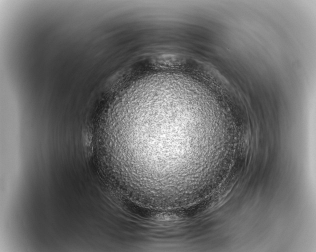X0000096420749200801311412