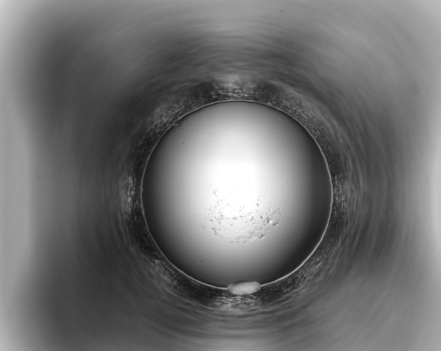 X0000096420752200801311412