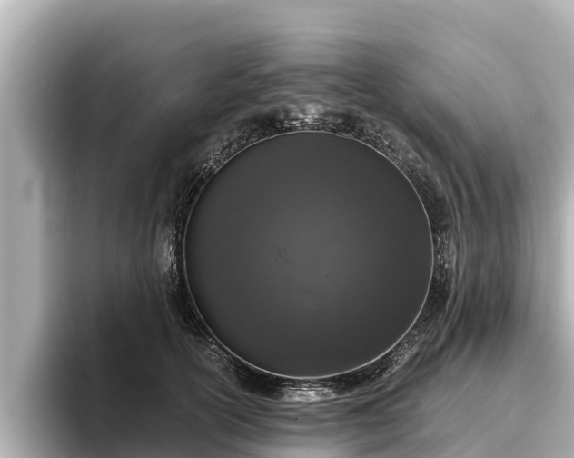 X0000096420754200801311412