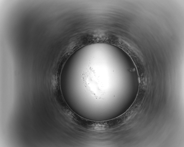X0000096420756200801311412