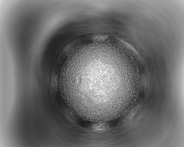X0000096420761200801311412