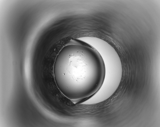 X0000096420764200801311412